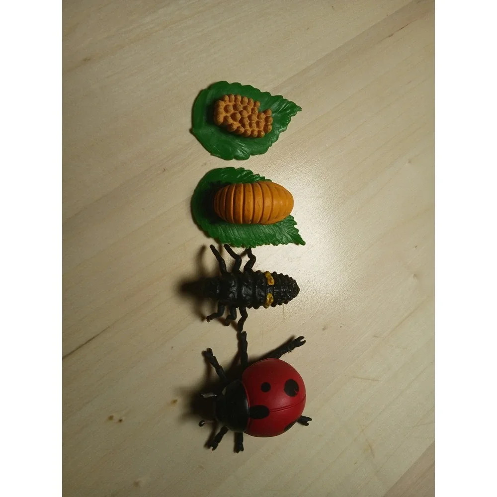Life Cycle Of A Ladybug Figures Safari Ltd NEW Toys Collectibles Kids Education